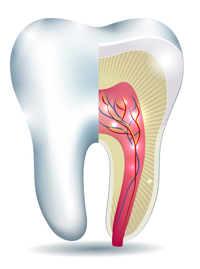 Treatment - Shine Dental